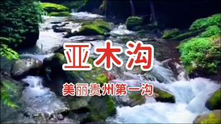 空中抛枪无敌版